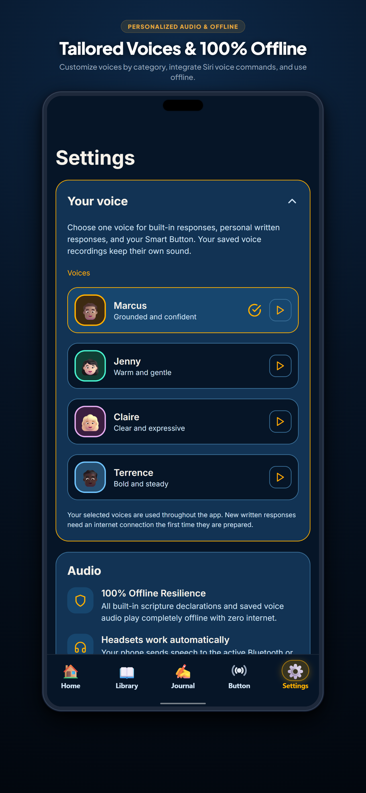 Rebuke It Voice & Audio Settings